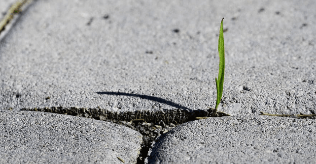 16475The problem with resilience as we know it
