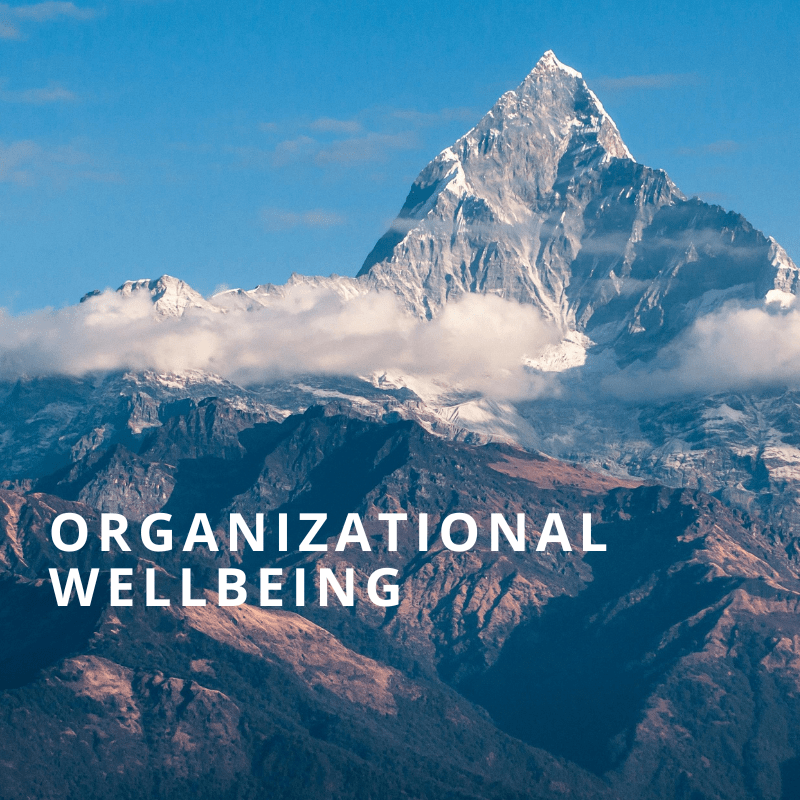 Organizational