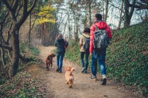People who spent more time in nature these past two years have been happier and less stressed.
