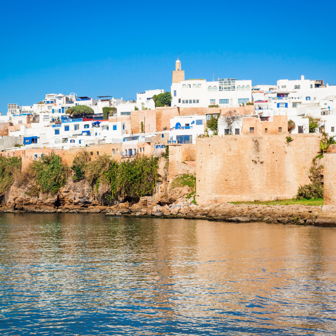 Untitled design (31)