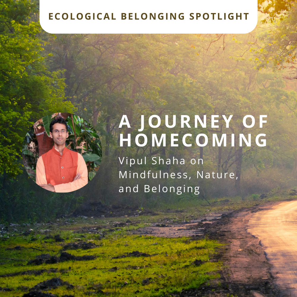 49837A Journey of Homecoming: Vipul Shaha on Mindfulness, Nature, and Belonging